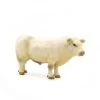 Little Buster Charolais Bull -Modern Life Shop image 273ae7e3 7348 41ca a8d7 5f00613e9573