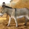 Breyer Donkey No. 88934 -Modern Life Shop image 31ab85a2 4062 42ba ab42 56ce1c0bdfc1
