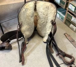 Used Circle Y Pleasure 15" -Modern Life Shop image 4edc90eb afce 4a55 a927 0363c14a8998