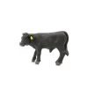 Little Buster Angus Calf -Modern Life Shop image 719957f2 8796 4383 9d14 3acda4da289f