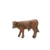 Little Buster Red Angus Calf -Modern Life Shop image 8bc08d7d 8d95 49e3 9ca7 d6bc3aafe9d1
