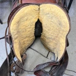 Used Freedom Gaited Trail 16" -Modern Life Shop image ab01a09e 87fa 43a1 81a4 254078fa919b