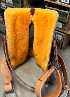 Cactus Team Roper 14.5" -Modern Life Shop image f885a2b9 217a 46ce a994 04b6a8b8a751